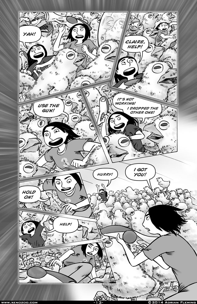 Page 13